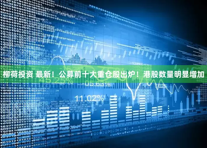 柳荷投资 最新！公募前十大重仓股出炉！港股数量明显增加