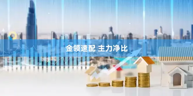 金领速配 主力净比