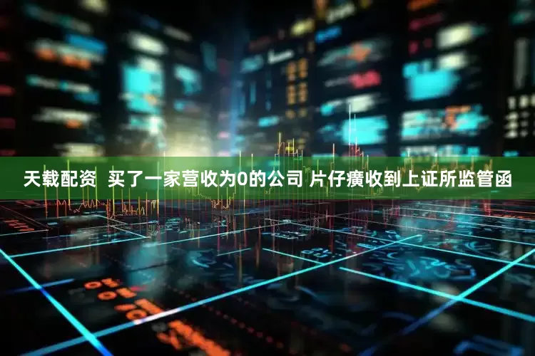 天载配资  买了一家营收为0的公司 片仔癀收到上证所监管函