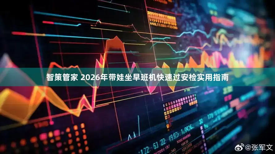 智策管家 2026年带娃坐早班机快速过安检实用指南